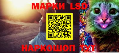гидра Кимры