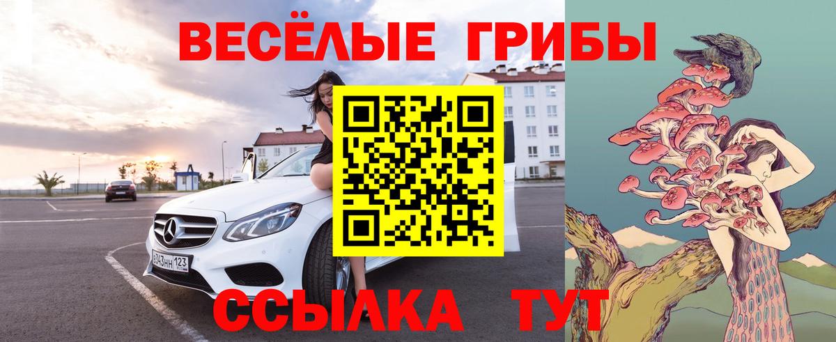 Псилоцибиновые грибы Psilocybine cubensis Кстово